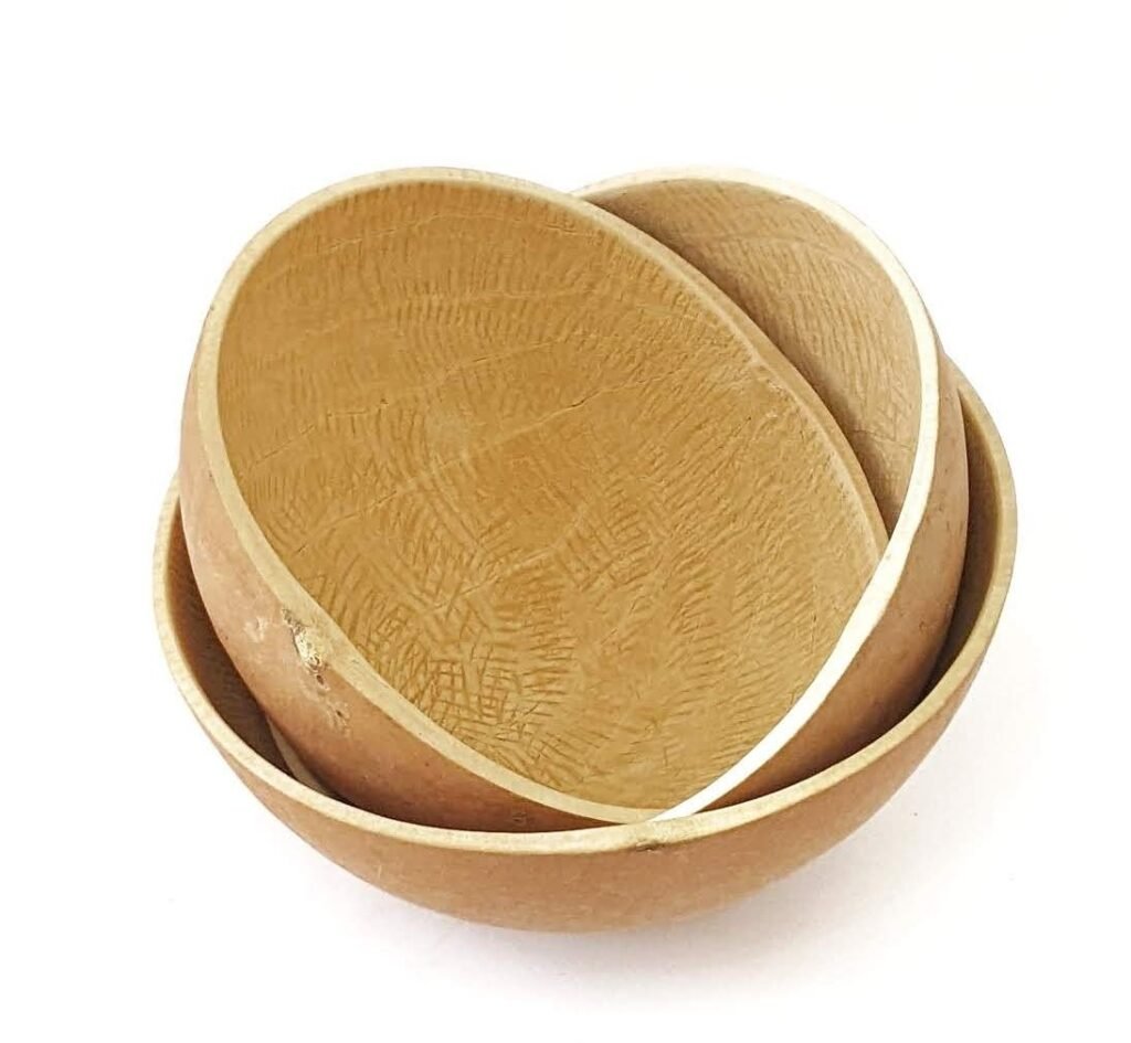 Set of 3 Handcrafted Calabash Bowls | Authentic Natural Gourd Serving Dishes