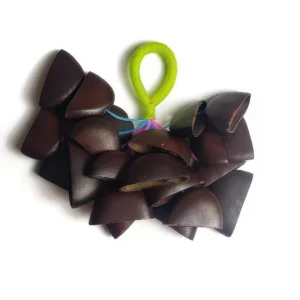 Handmade Pangi Nut Seed Shaker – Natural Organic Percussion Instrument